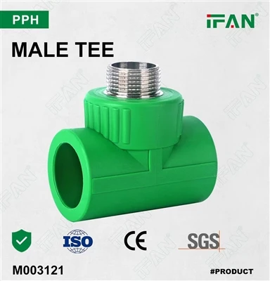 T-shirt IFAN PPR-MASCHIO
